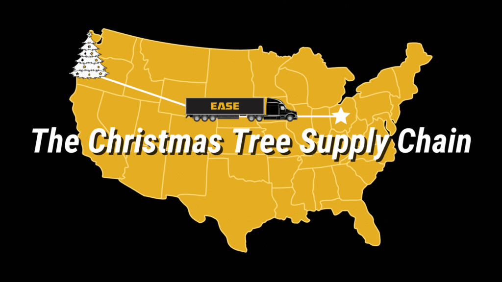 christmas tree supply chain